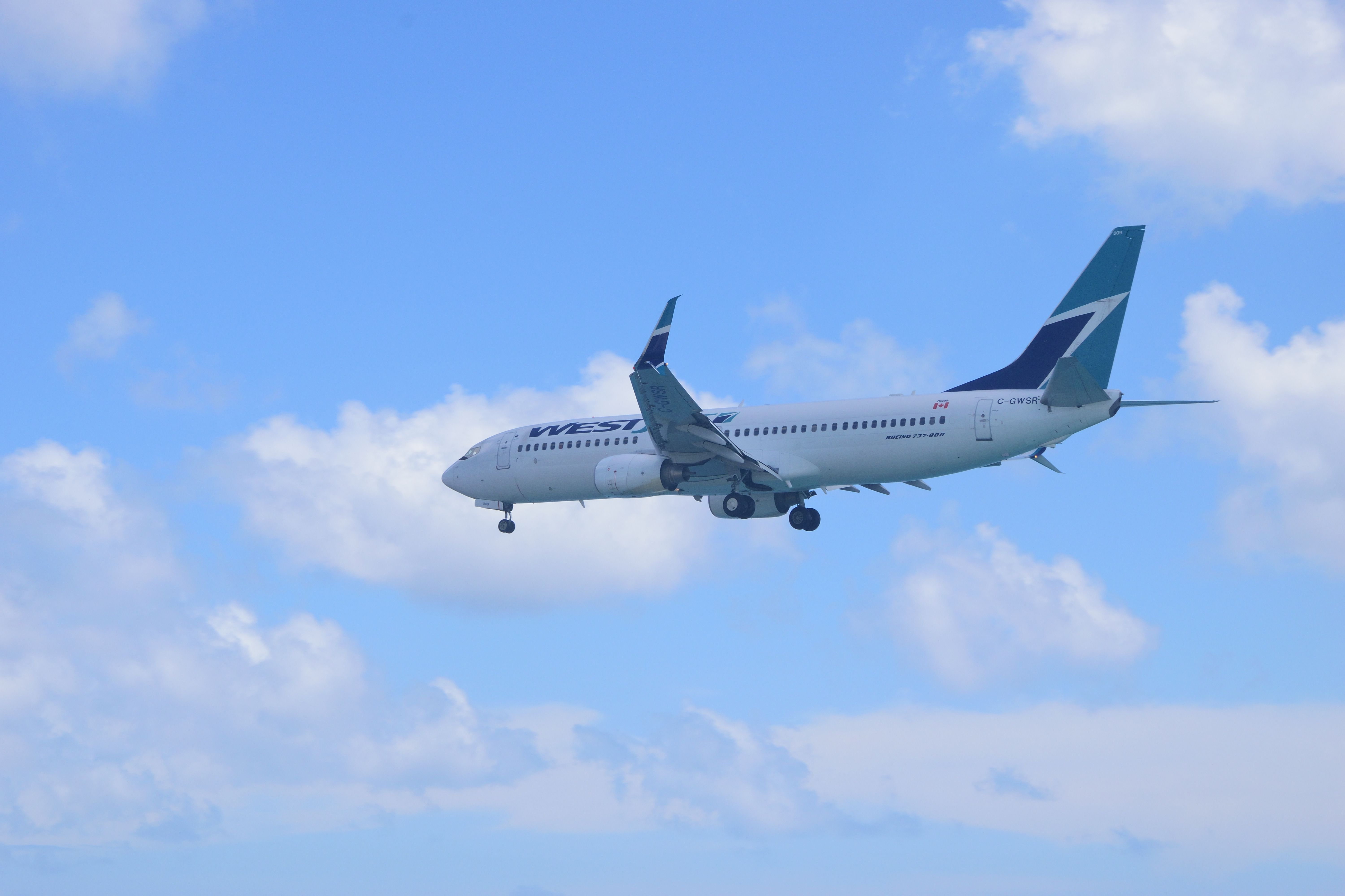 Boeing 737-800 (C-GWSR)