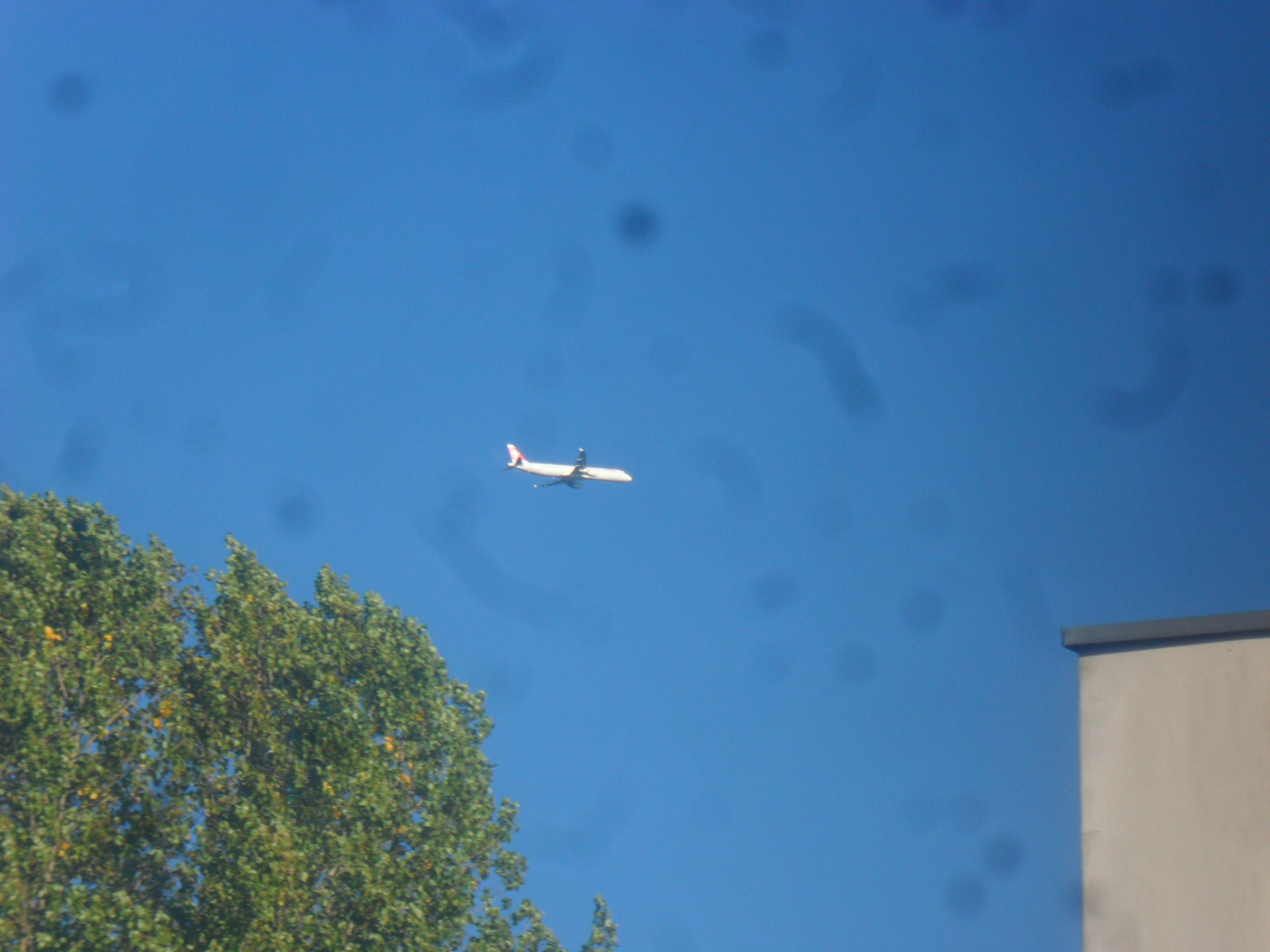 Airbus A321 — - Aus meinem Zimmerfenster ca. 4 Kilometer vom Flughafen Hamburg entfernt fotografiert