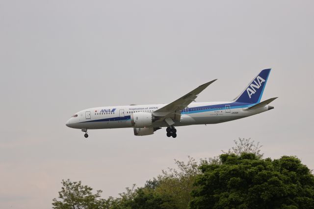 Boeing 787-8 (JA831A) - June 09, 2024:HND-HKD.