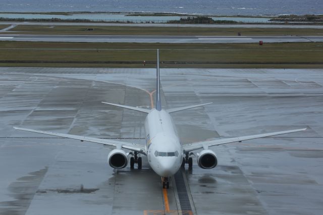 Boeing 737-800 (JA737H)