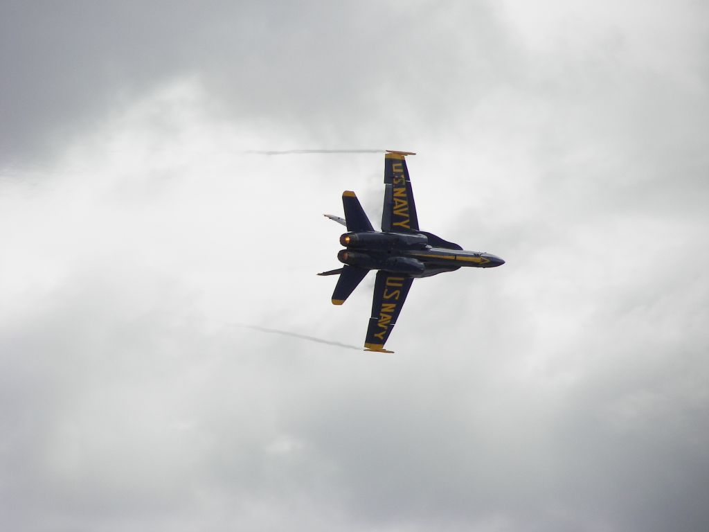 McDonnell Douglas FA-18 Hornet — - MCAS Miramar Airshow 2008  San Diego, CA  Solo Pilot High Speed Overhead Break!