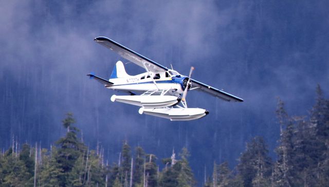 De Havilland Canada DHC-2 Mk1 Beaver (N770TH) - 7-5-2022