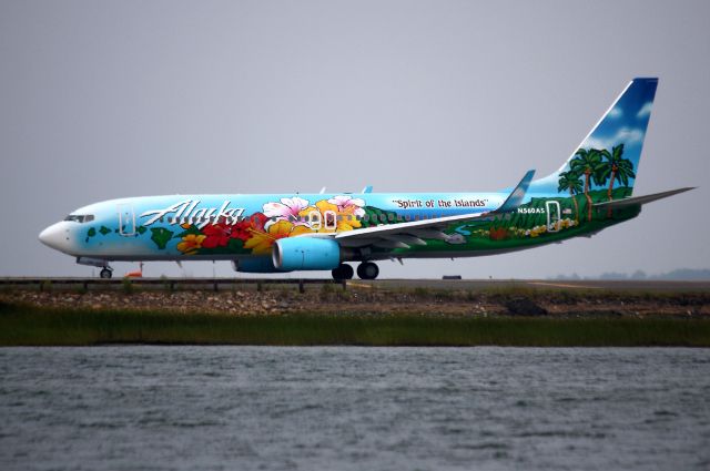 Boeing 737-800 (N560AS) - Alaska 35, Spirit of the Islands, taxis for departure to Portland.