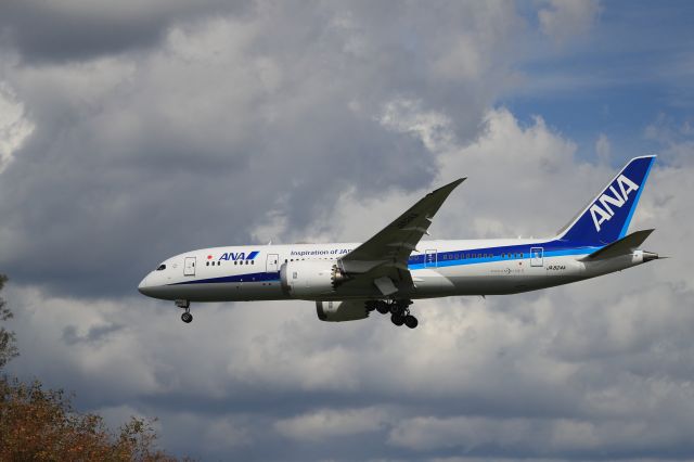 Boeing 787-8 (JA824A) - September 20th 2020:HND-HKD.