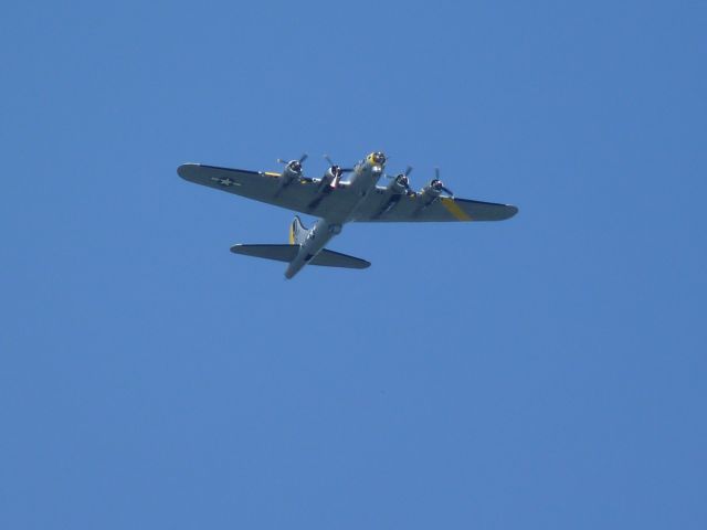 Boeing B-17 Flying Fortress — - He was just out flying around the city. Crossed over PDX a couple times then headed back to Hillsboro. Taken about 2 weeks before it was destroyed.