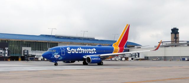 Boeing 737-700 (N470WN) - Great White in Charlottebr /br /8/11/18