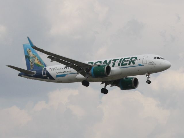 Airbus A320neo (N316FR) - frontier shelly the sea turtle