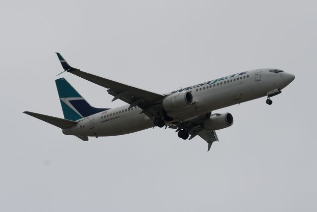 Boeing 737-800 (C-GWSR)