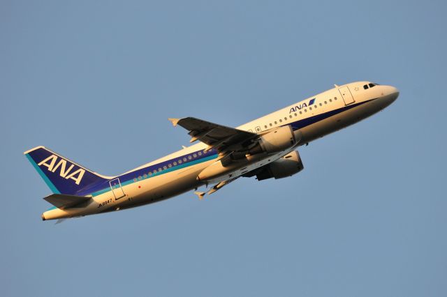 Airbus A321 (JA8947) - 2014/2/1