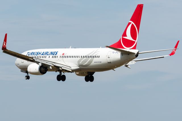 Boeing 737-800 (TC-JFL)