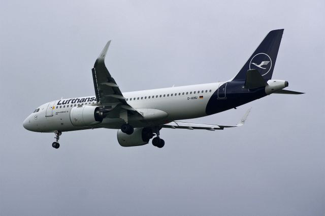 Airbus A320 (D-AINU) - Airbus A320-271, Lufthansa, D-AINU, 14.Oct.2022, EGLL London Heathrow, Waye Ave Park