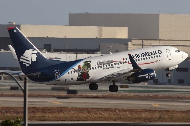 Boeing 737-700 (EI-DRE) - Avengers to Mexico City