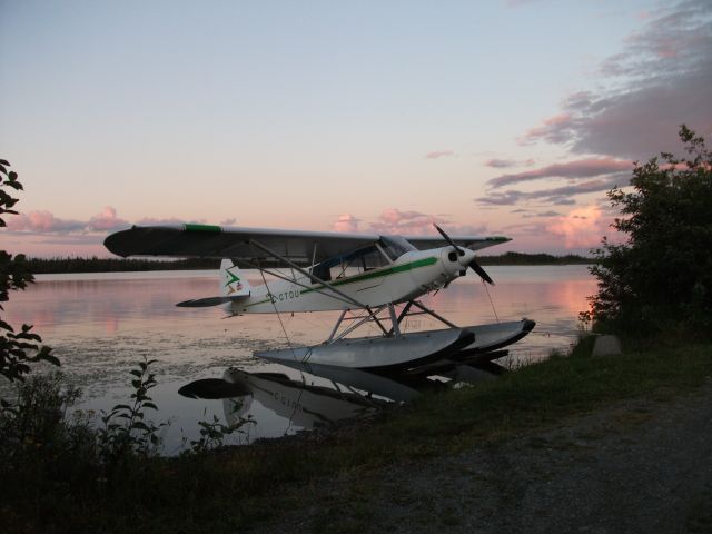 Piper L-21 Super Cub (C-GTOU) - Piper L-21 at Deadmans Pond (Behind Gander Airport)