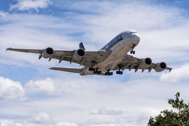 Airbus A380-800 (9V-SKM) - SIA12 arriving runway 24R at LAX from NRT.