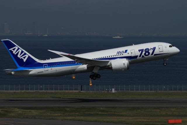 Boeing 787-8 (JA806A)