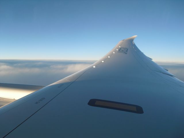 Boeing 787-8 (JA802A)
