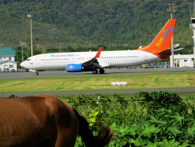 Boeing 737-800 (C-GFEH)