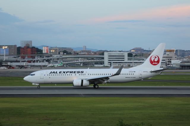 Boeing 737-800 (JA313J)