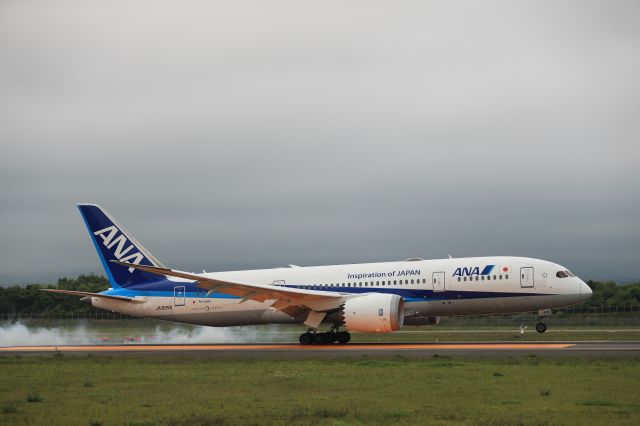 Boeing 787-8 (JA835A) - August 04, 2024:HND-HKD.