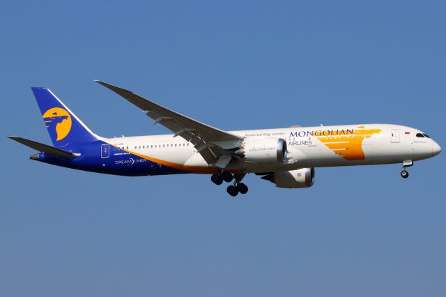 Boeing 787-9 Dreamliner (EI-UBN)