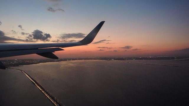 Airbus A320 (N317FR) - TAMPA BAY