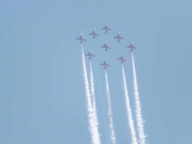 — — - red arrows waddington