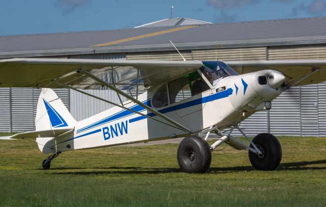 Piper L-21 Super Cub (ZK-BNW)