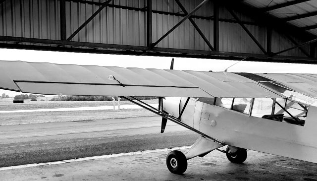 Piper L-21 Super Cub (OO-ACK)