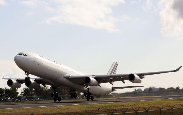 Airbus A340-300 (F-GLZJ)