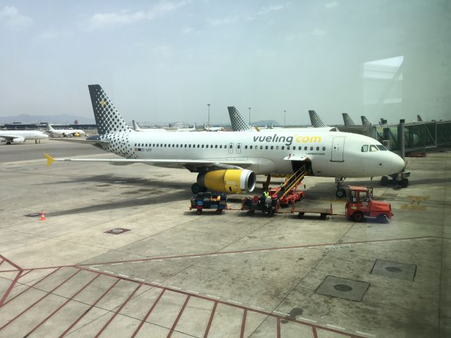 Airbus A320 (EC-LRY)
