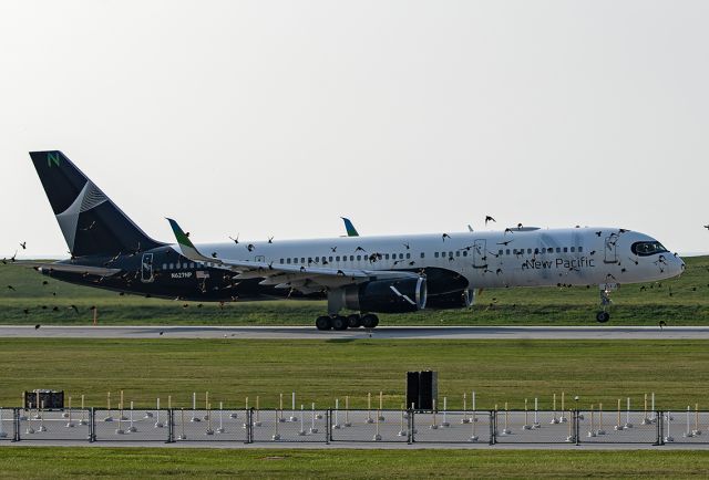 Boeing 757-200 (N627NP) - RVF8606, N627NP, a Boeing 757-2B7, surrounded by birds, departing RWY 6L, carrying the Texas Rangers MLB team bound for Chicago Midway Intl – KMDW on 25 Aug 2024.