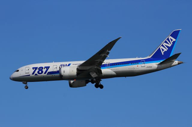 Boeing 787-8 (JA816A)