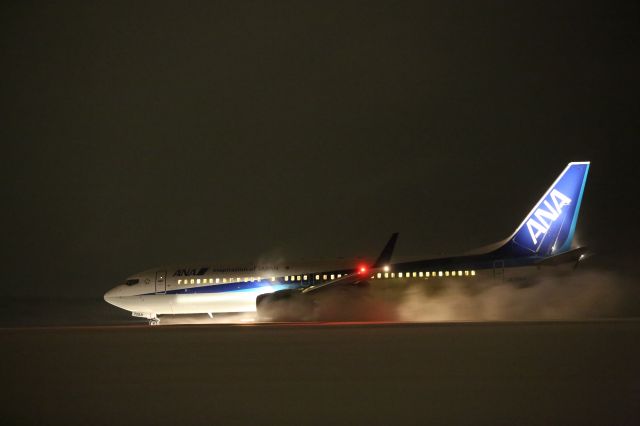 Boeing 737-800 (JA72AN) - 08 January 2016:HND-HKD.