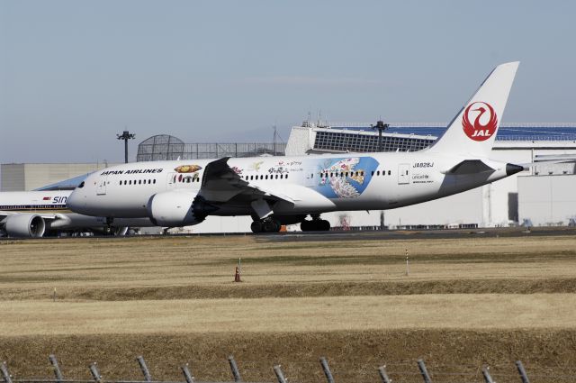 Boeing 787-8 (JA828J) - Departure at Narita Intl Airport Rwy34L on 2012/12/11 "Special Ziburi c/s"