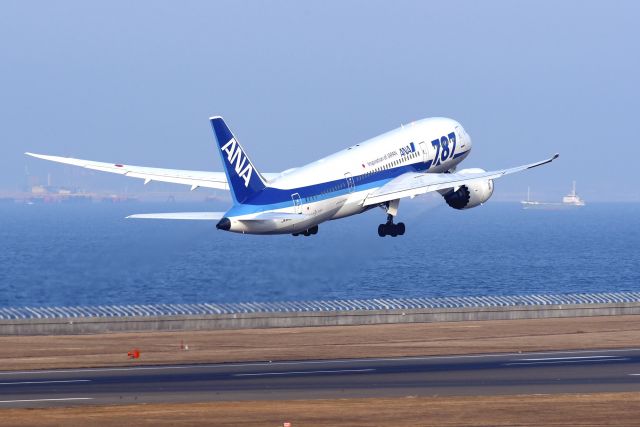 Boeing 787-8 (JA810A)