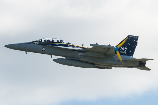 McDonnell Douglas FA-18 Hornet (A46306)