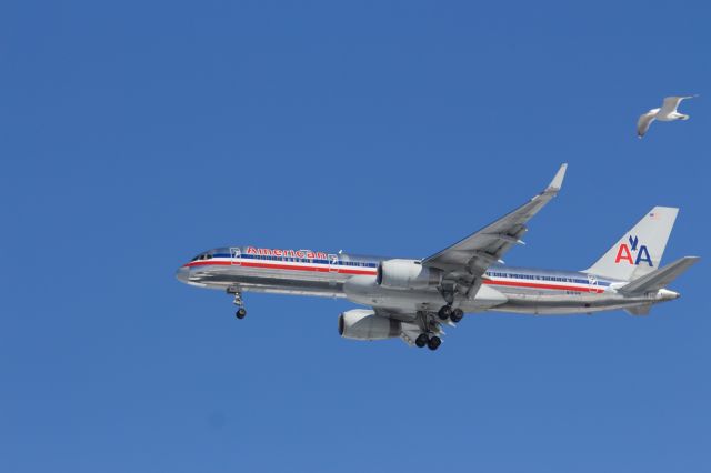 Boeing 757-200 (N191AN) - 2/17/14 - Final Approach to JFK 31R from Costco Parking Lot br /Nice bird in foreground!