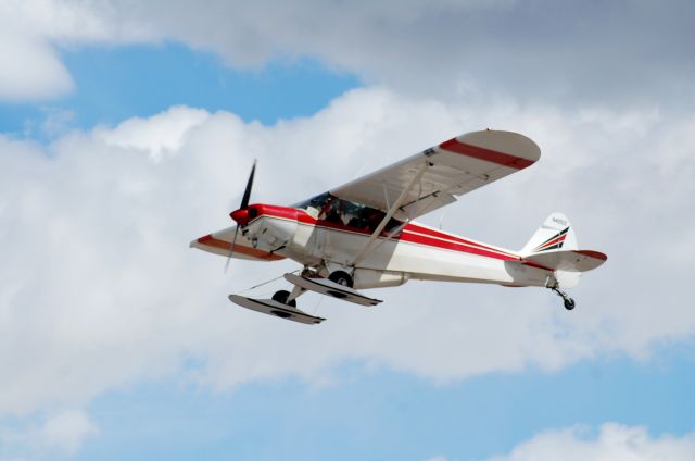 Piper L-21 Super Cub (N4251Z)