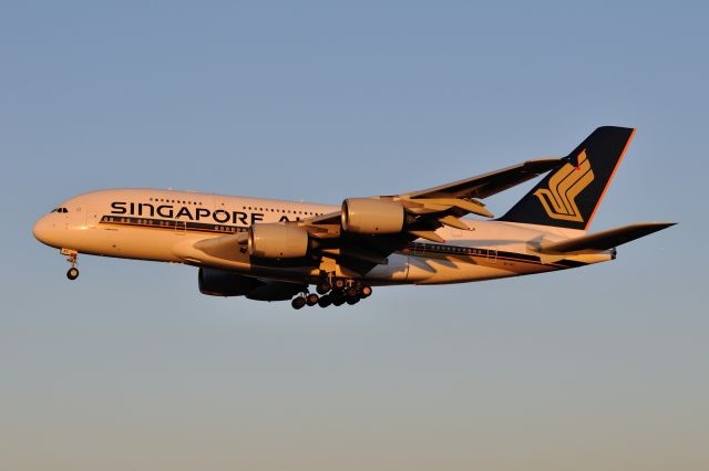 Airbus A380-800 (9V-SKS) - 2015/2/14br /a rel=nofollow href=http://amigoplane.blog.fc2.com/http://amigoplane.blog.fc2.com//a