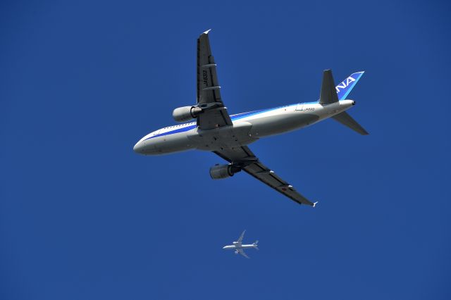Airbus A320 (JA8313) - and ANA(788)
