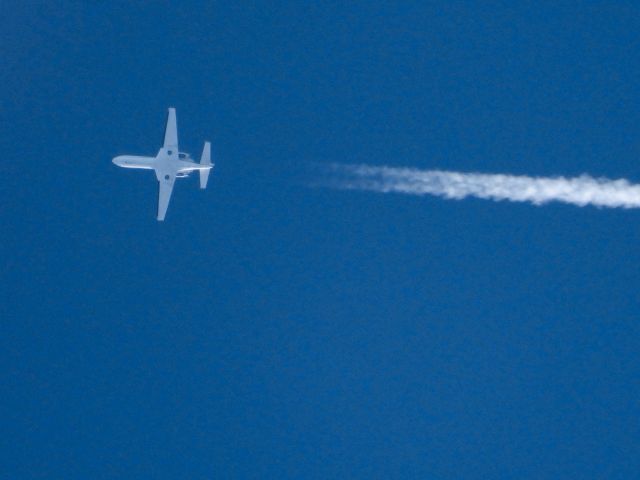 Cessna Citation V (N900PS) - PNS-LBFbr /09/25/21