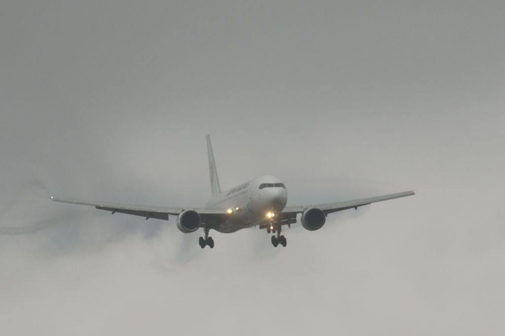 BOEING 767-300 (JA8976) - 15 November 2015:HND-HKD.