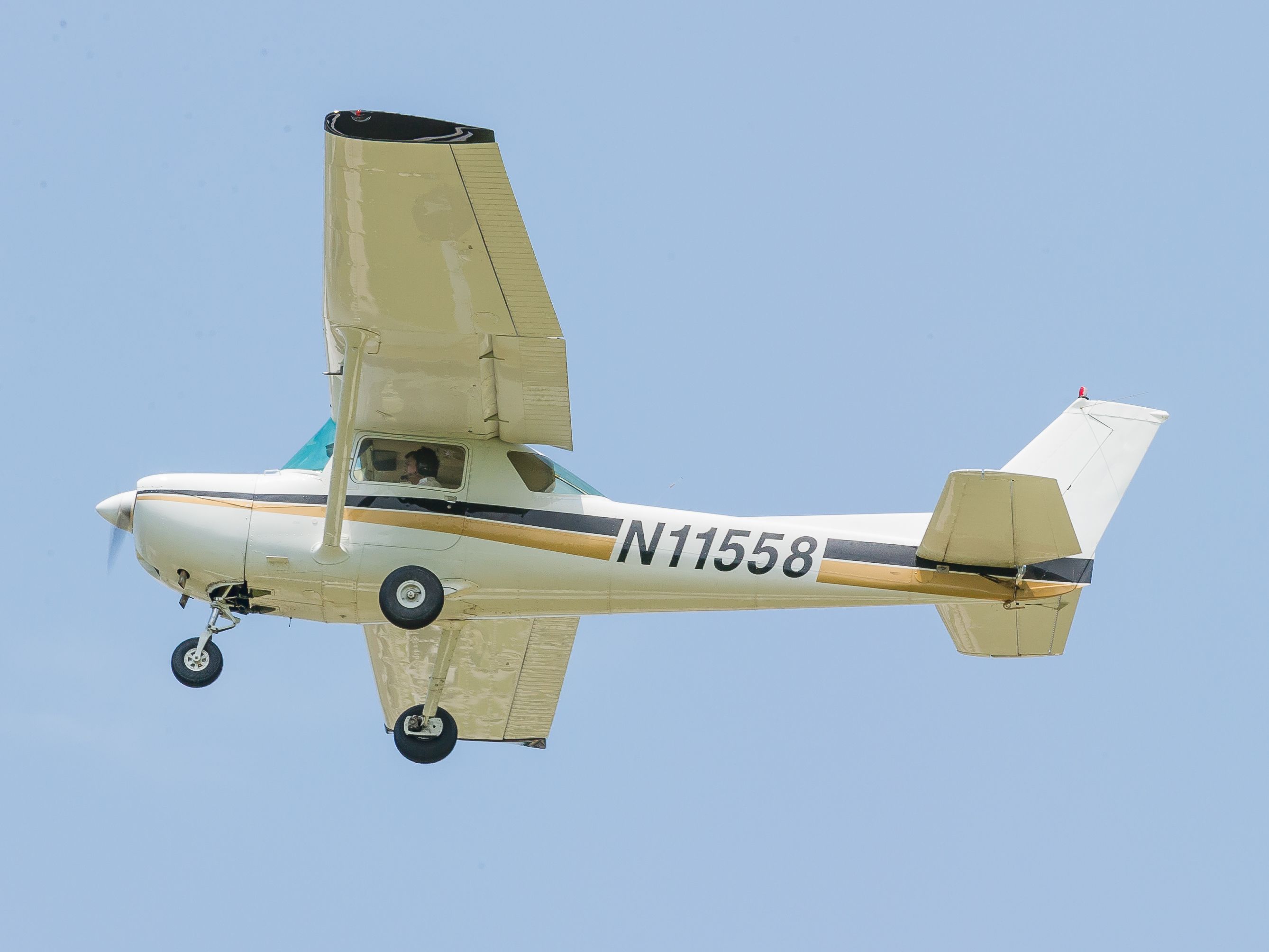 Cessna Commuter (N11558)