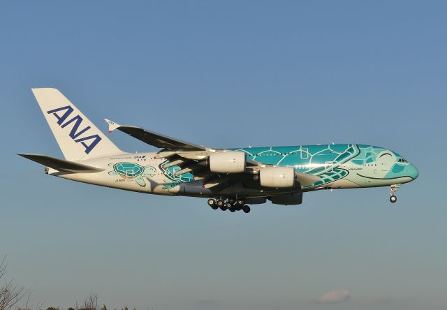 Airbus A380-800 (JA382A) - Tokyo-Narita(NRT) 2019/11/05