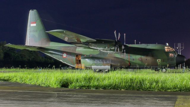 Lockheed C-130 Hercules (A1323)