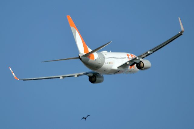 Boeing 737-700 (PR-GEI)
