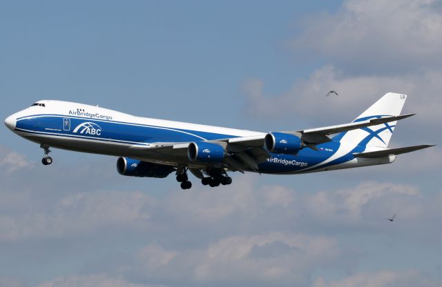 BOEING 747-8 (VQ-BLR) - Watch out for the birds!