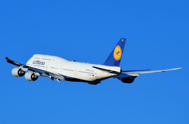 BOEING 747-8 (D-ABYF)