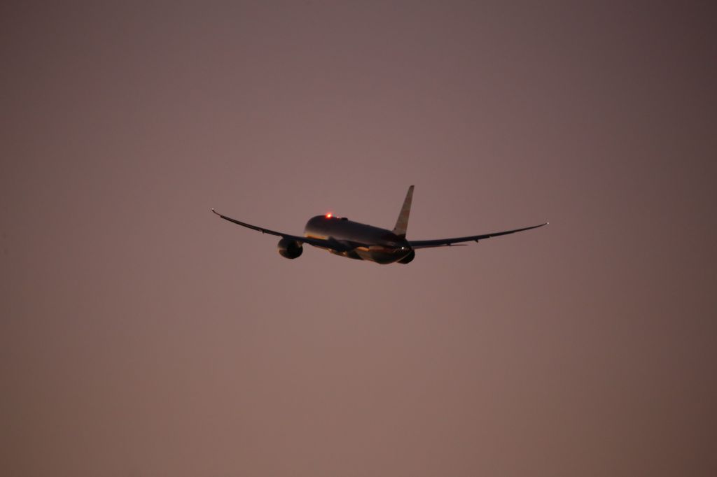 Boeing 787-9 Dreamliner (N833AA)