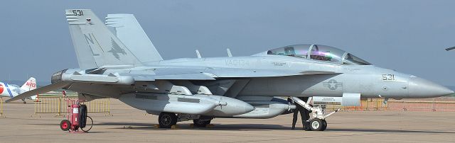 McDonnell Douglas FA-18 Hornet (16-8766) - E/A-18G Growler from VAQ-134 at Whidbey Island NAS. Dont wanna know how the backseater got his callsign.. 